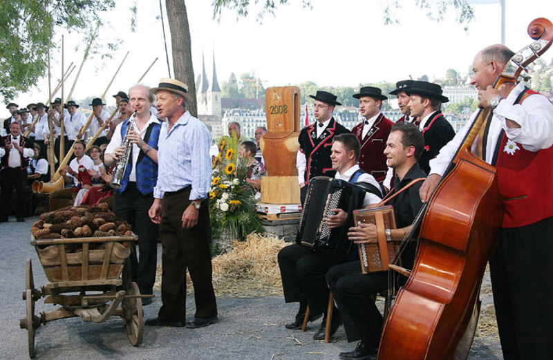 Tannzapfen Sammler